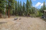 51601 Pine Loop Drive - Photo 10