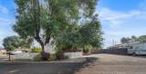654 4th Street - Photo 17