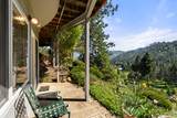 9302 Yank Gulch Road - Photo 8