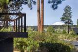 61422 Meeks Trail - Photo 5