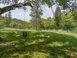 7680 Upper Applegate - Photo 39