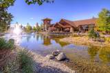 8928 Cliff Swallow Drive - Photo 56