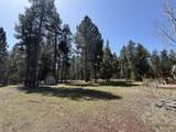 51905 Kiwa Lane - Photo 6