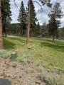 1075 Timber Ridge Loop - Photo 1