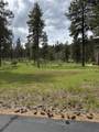 1075 Timber Ridge Loop - Photo 4