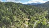 331 Newt Gulch Road - Photo 7