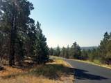 1123 Red Willow Drive - Photo 3