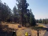 1123 Red Willow Drive - Photo 4