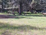821 Desperado Trail - Photo 20