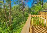 1003 Red Mountain Drive - Photo 8