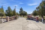 12442 Lost Lake Drive - Photo 3