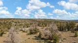 10897 Galveston Loop - Photo 16