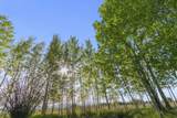 30242 Highway 97 - Photo 40