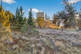 8111 High Cone Drive - Photo 70