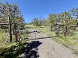 1374 Linn Road - Photo 41