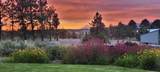 2045 Camas Lane - Photo 1