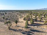 25606 Alfalfa Market Road - Photo 12