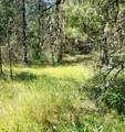  Redwood Highway - Photo 10