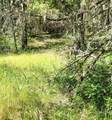 Redwood Highway - Photo 8