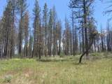 0 Oregon 62 - Photo 38