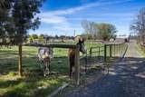 9060 31st - Photo 28