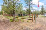 16378 Whitetail Lane - Photo 5