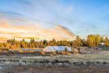 63130 Stenkamp Road - Photo 43