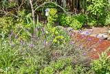 200 Harrison Street - Photo 49
