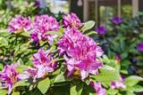 200 Harrison Street - Photo 53