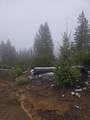  Upper Joe Creek Road - Photo 3