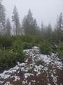  Upper Joe Creek Road - Photo 4