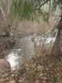  Upper Joe Creek Road - Photo 5