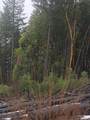  Upper Joe Creek Road - Photo 6