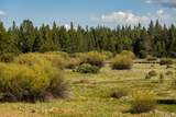 54641 Silver Fox Drive - Photo 11