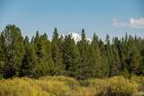 54641 Silver Fox Drive - Photo 47