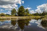 54641 Silver Fox Drive - Photo 65