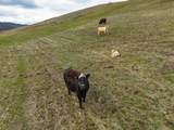 6100 Eightmile Road - Photo 45