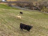 6100 Eightmile Road - Photo 46
