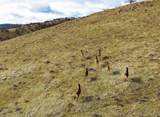 6100 Eightmile Road - Photo 47