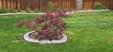 1945 18th Street - Photo 31