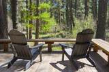 13375 Forest Service Road - Photo 19