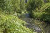 13375 Forest Service Road - Photo 33