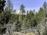 67372 Harrington Loop Road - Photo 11