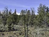 67372 Harrington Loop Road - Photo 12