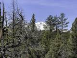 67372 Harrington Loop Road - Photo 8