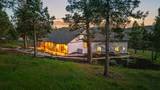 10117 Mourning Dove Drive - Photo 11