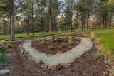 10117 Mourning Dove Drive - Photo 19