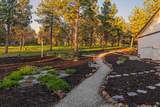 10117 Mourning Dove Drive - Photo 20