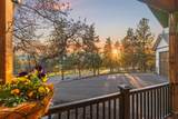 10117 Mourning Dove Drive - Photo 31