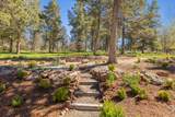10117 Mourning Dove Drive - Photo 76